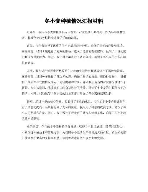 冬小麦种植情况汇报材料