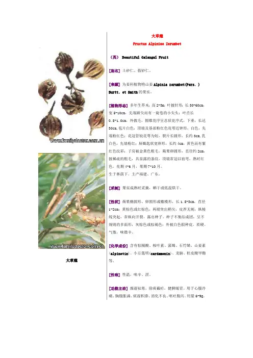 常见中草药—果实类