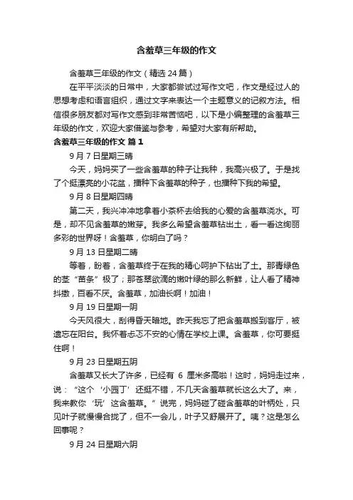 含羞草三年级的作文