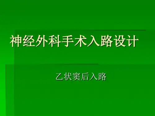 神经外科手术入路设计