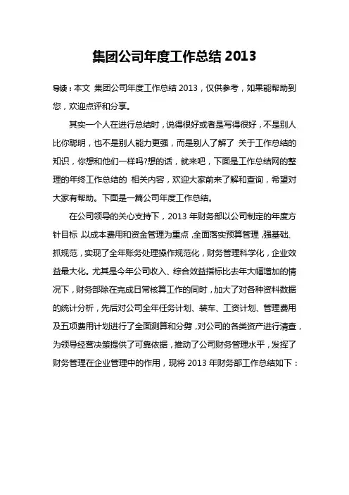 集团公司年度工作总结2013