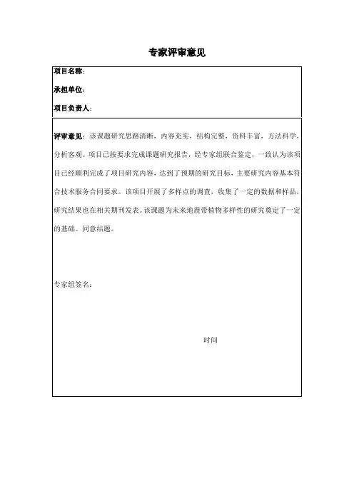 专家评审意见表模板