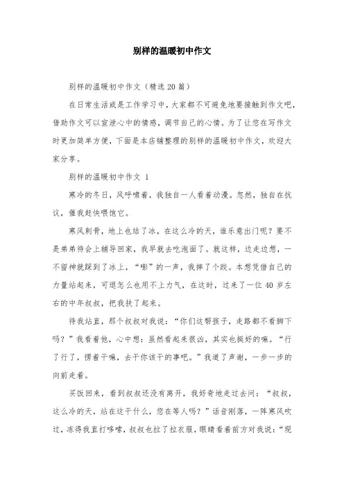 别样的温暖初中作文