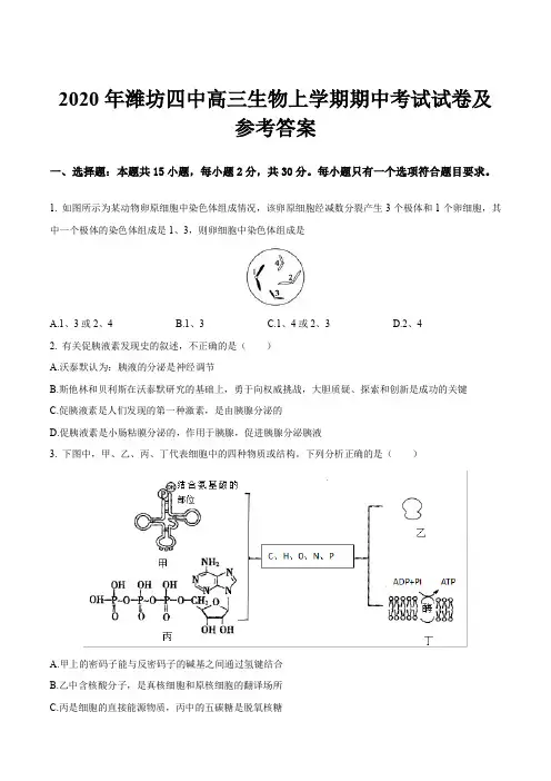 2020年潍坊四中高三生物上学期期中考试试卷及参考答案