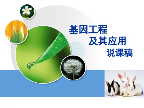 基因工程及其应用说课稿