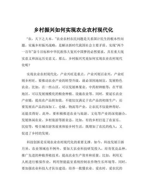 乡村振兴如何实现农业农村现代化