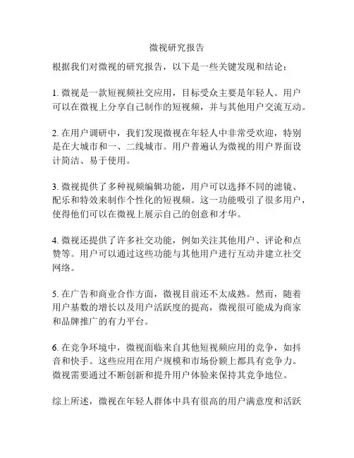 微视研究报告
