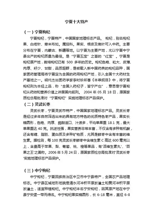 宁夏十大特产