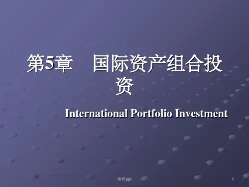 《国际投资组合》PPT课件