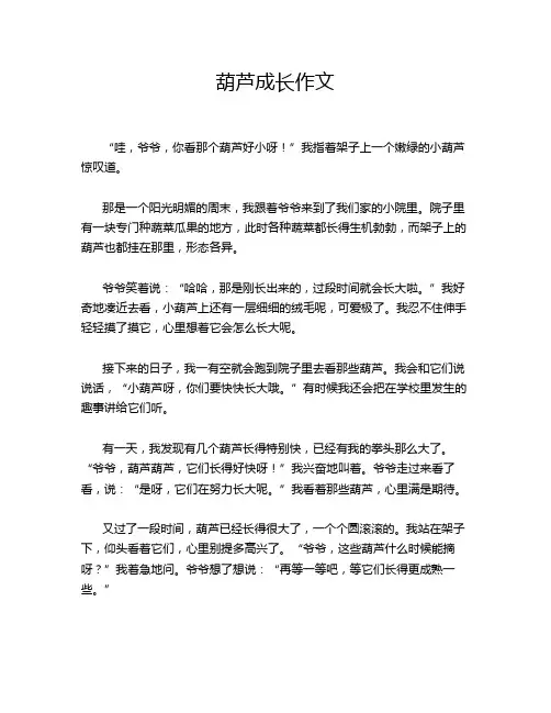 葫芦成长作文
