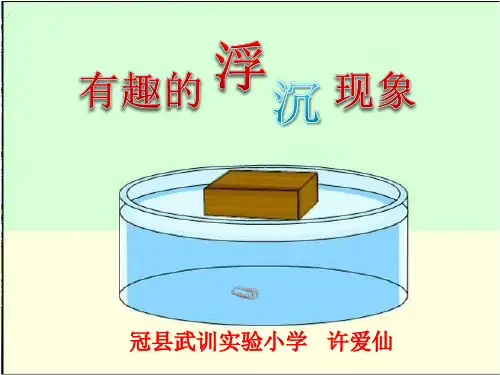 小学科学_  有趣的浮沉现象教学课件设计