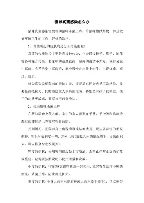 猫咪真菌感染怎么办