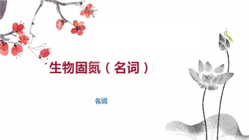 生物固氮(名词)