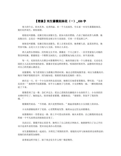 【想象】双生蔷薇姐妹花(一)_450字