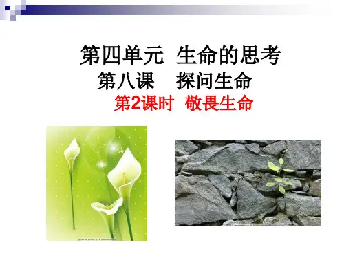 敬畏生命_课件完美版1