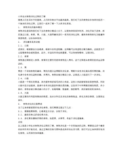 人体的消化系统：小学生对食物消化过程的了解