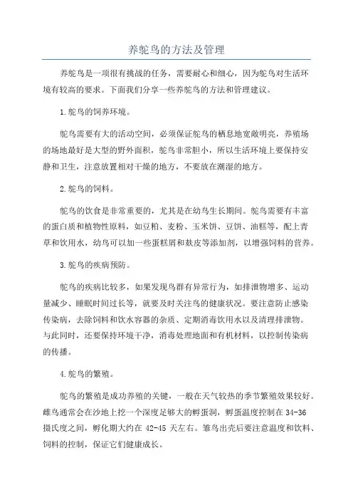 养鸵鸟的方法及管理