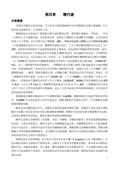 4 糖代谢