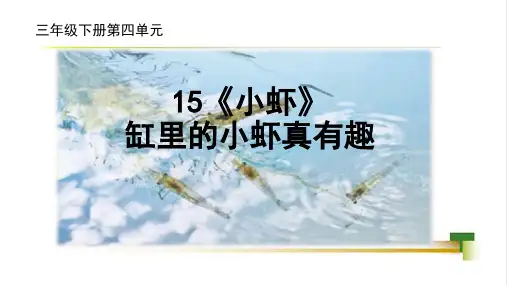 《小虾》ppt课件
