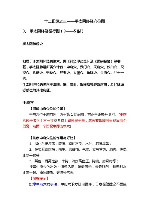 十二正经之三——手太阴肺经穴位图