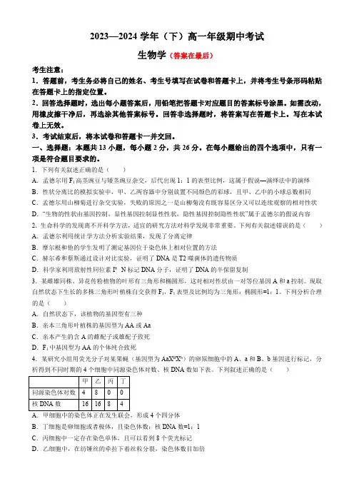 河南省多校2023-2024学年高一下学期4月期中联考试题 生物含答案