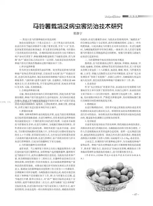 马铃薯栽培及病虫害防治技术研究