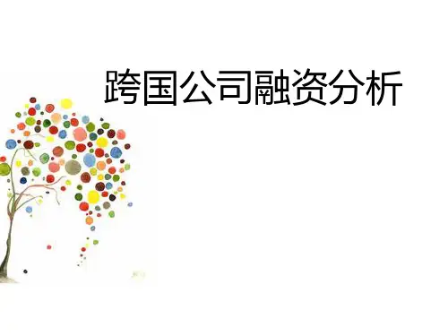 跨国公司融资分析