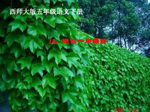 《送你一片绿荫》PPT课件四
