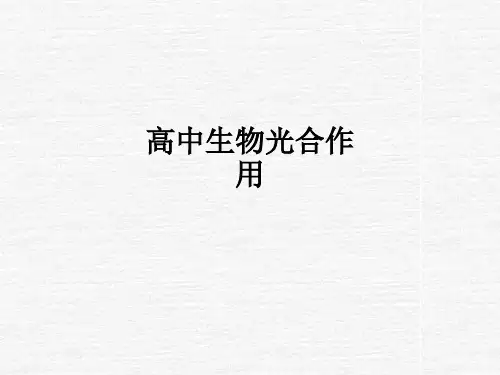 高中生物光合作用ppt课件