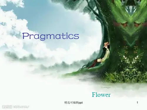 语言学pragmatics的ppt