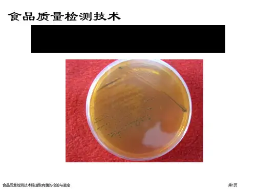 食品质量检测技术肠道致病菌的检验与鉴定