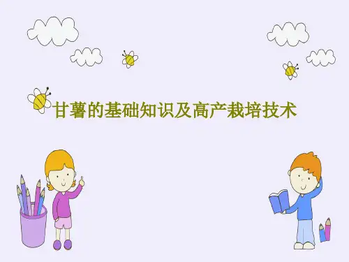 甘薯的基础知识及高产栽培技术PPT文档65页