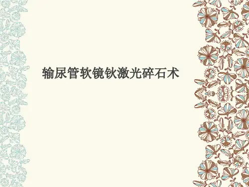 输尿管软镜钬激光碎石术