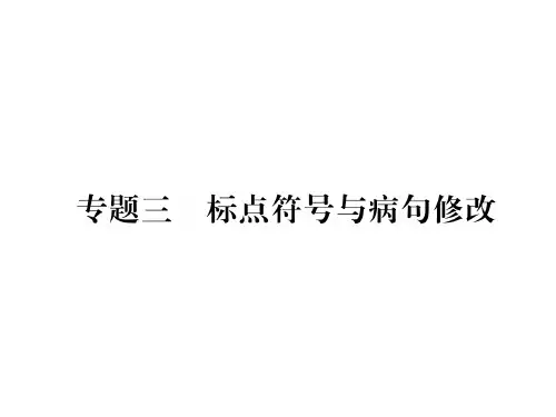 秋人教版九年级语文上册同步作业课件：专题3 标点符号与病句修改(共26张PPT)