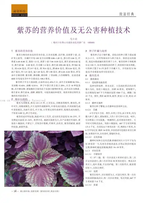  紫苏的营养价值及无公害种植技术