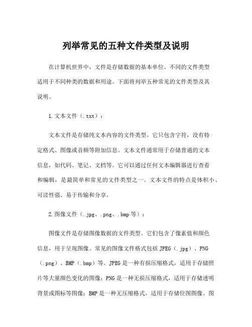 列举常见的五种文件类型及说明