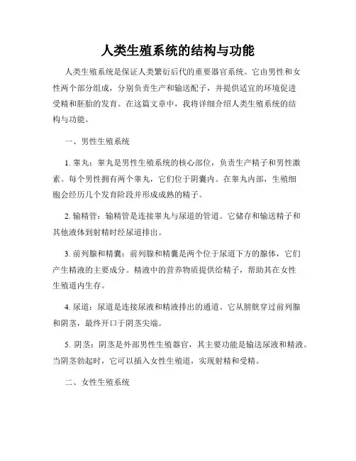 人类生殖系统的结构与功能