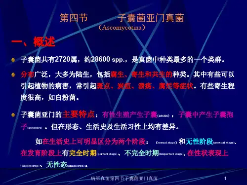 病原真菌第四节子囊菌亚门真菌