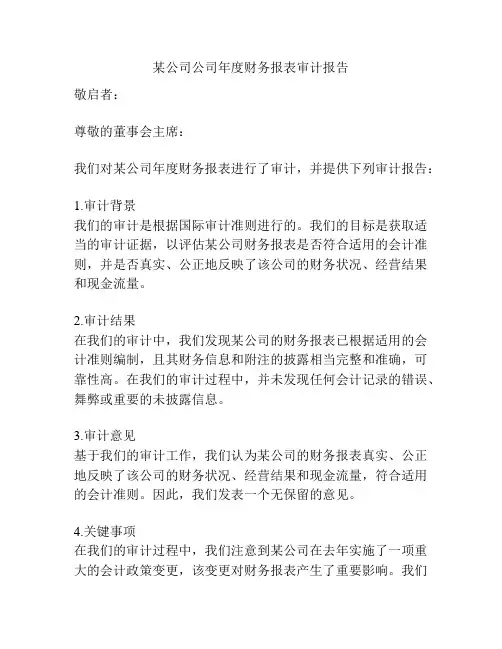 某公司公司年度财务报表审计报告