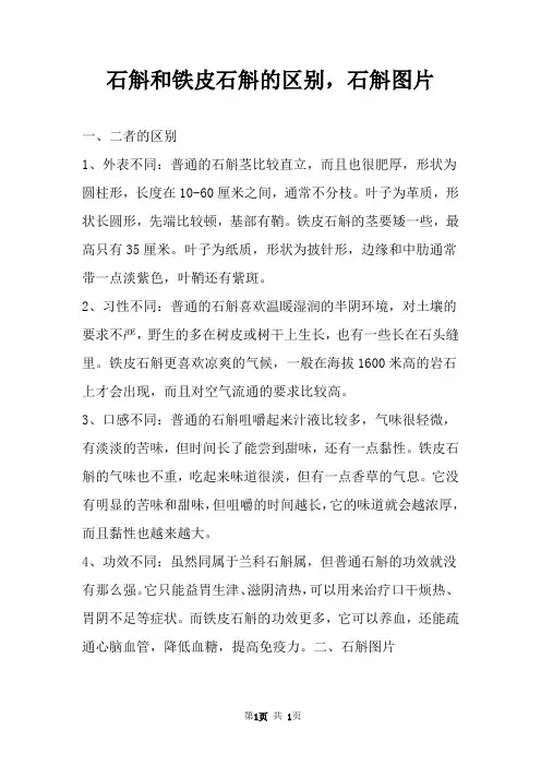 石斛和铁皮石斛的区别,石斛图片 