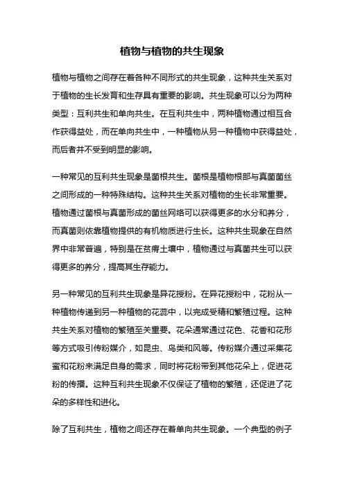 植物与植物的共生现象
