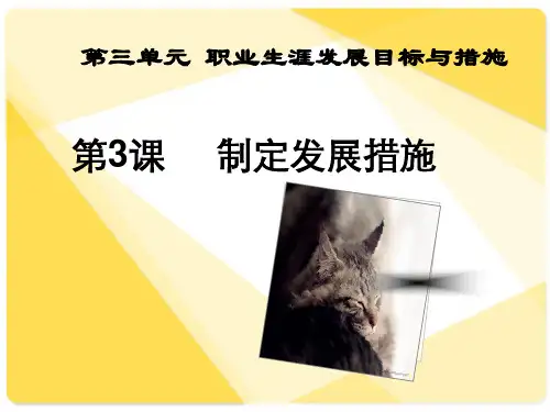 第三单元第三课  制定发展措施