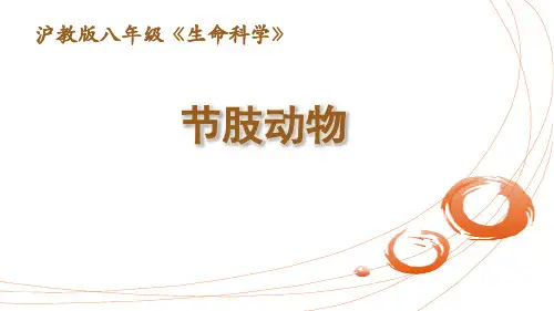 沪教版八年级生命科学第四章第二节《节肢动物》教学课件(25张PPT)