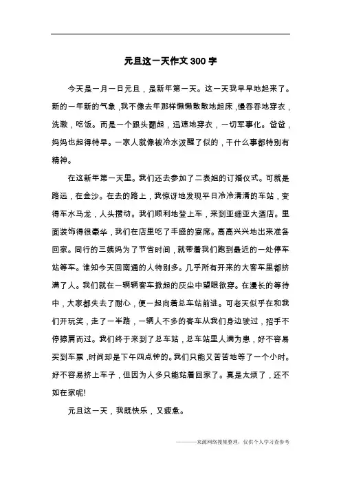元旦这一天作文300字