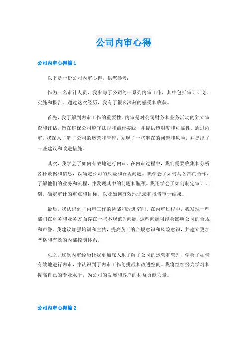公司内审心得