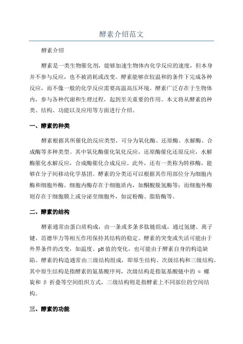 酵素介绍范文