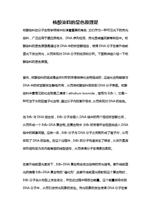 核酸染料的显色原理是