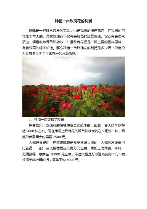 种植一亩玫瑰花的利润