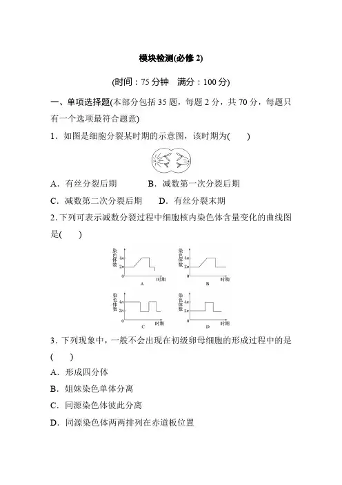 2019年江苏省小高考学业水平测试生物模块检测卷及答案(必修2)