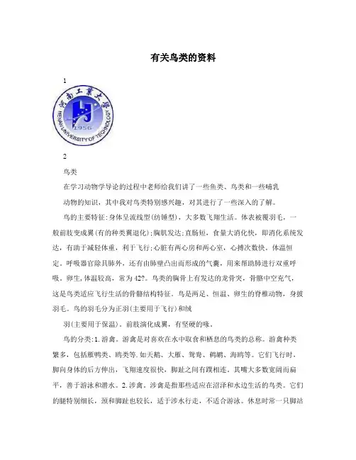 有关鸟类的资料